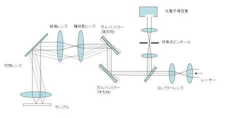 場合によっては、顕微鏡を使用すると、フィギュアが切り取られてネガ上に置かれたハードエッジを明らかにすることができます。 写真提供:エド・グラビアノフスキー