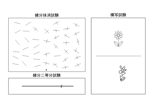 健康情報館 - デング熱検査、デング熱迅速検査、デング熱予防