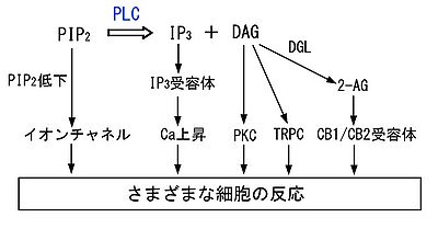 PLC-1.jpg
