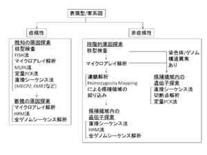 サルの天然痘：WHOが流行中の安全なセックスに関するガイドラインを提示