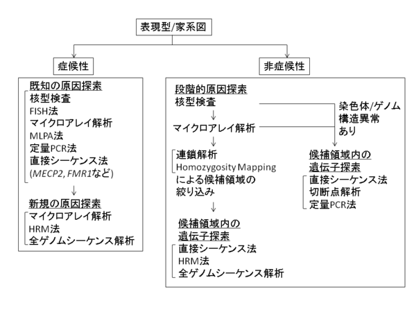 サル痘流行中、WHOが安全なセックスに関するガイドラインを発表