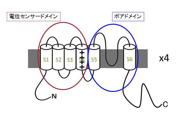電位流星: その概要、種類、例