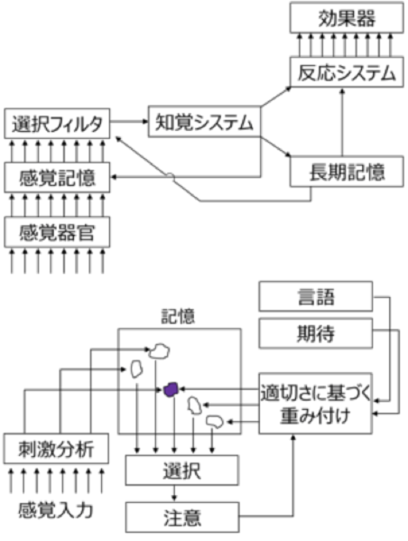 ファイル:横澤 注意のモデル Fig1.png
