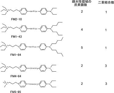 分子 水素結合は特に強い分子間力です。