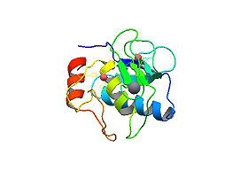 図2　human neutrophil collagenase(MMP-8)の立体構造と活性ドメイン（日本蛋白質構造データバンク (PDBj)）