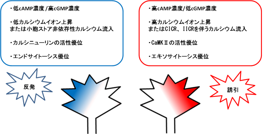 97% 以上の国が 2100 年までに人口減少を経験すると予想されている