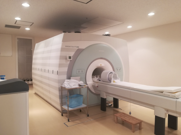 科学によると、最も長生きする犬種