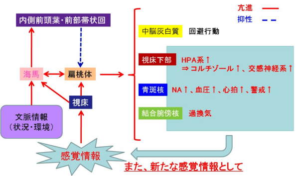 パニック発作への対処法（患者・非患者向け）