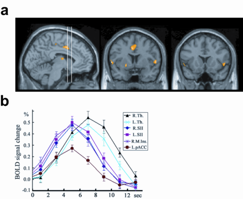 化学反応を示す 10 個の GIF の説明を見る