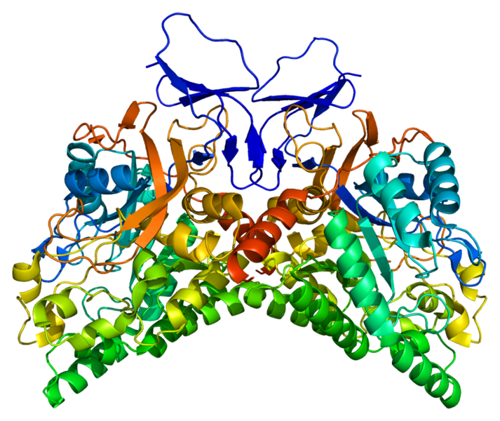 ファイル:Protein CRMP1 PDB 1kcx.png