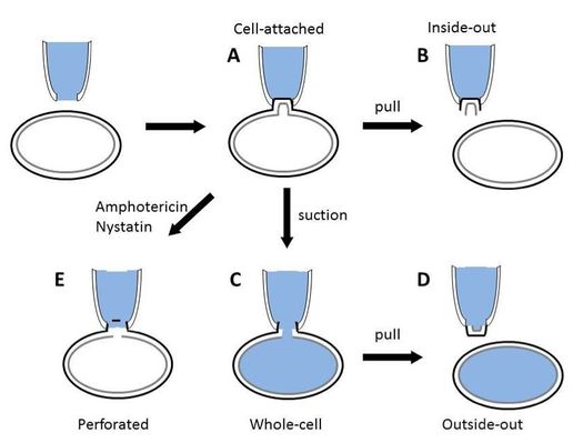 スーパーセルまたはスーパーセル: それは何か、どのように形成されるか、種類と結果 - スーパーセルがどのように形成されるか