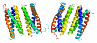 ファイル:Protein CNTF PDB 1cnt.pngのサムネイル