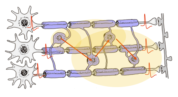 プラスチックの分解によりガスが発生し、温室効果に寄与します