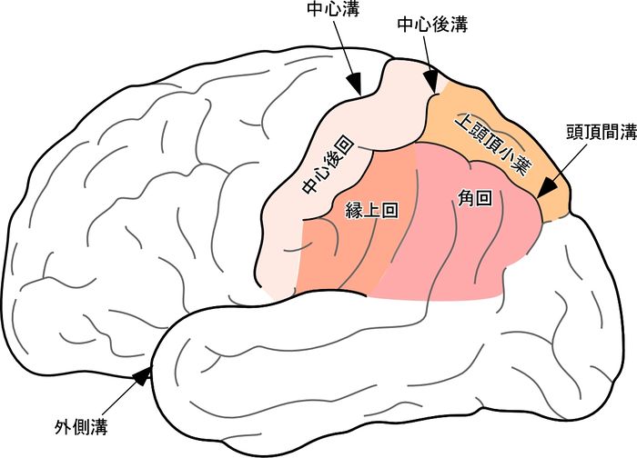 2024 年の冬至: 北半球と南半球 - 冬至とは何ですか