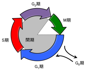 増殖するg プリズマ PSA 10 Gem Mint Gloria 276/184 Vmax Climax Full Art 2021 Japanese