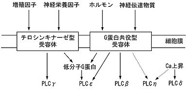 PLC-3.jpg