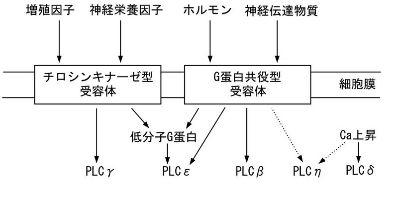 ファイル:PLC-3.jpg