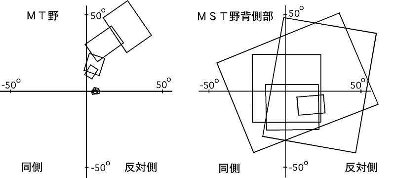 ファイル:田中テスト図１.jpg