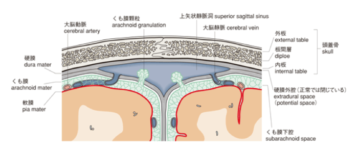 くも膜下腔内化学療法はいつ使用されますか?