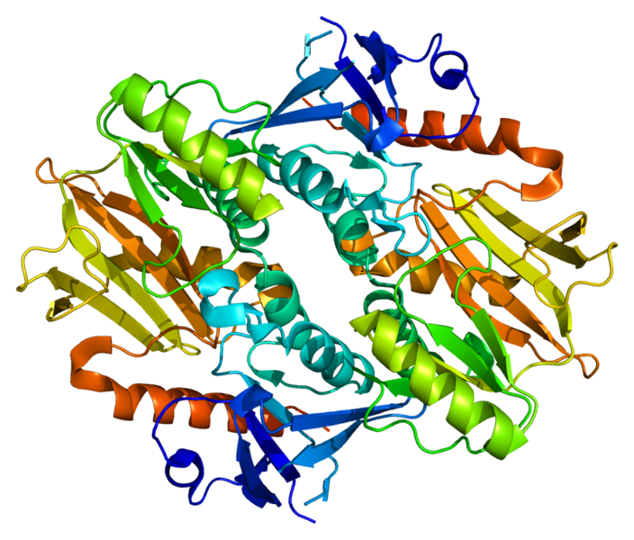 ファイル:Protein SYN3 PDB 2p0a.png