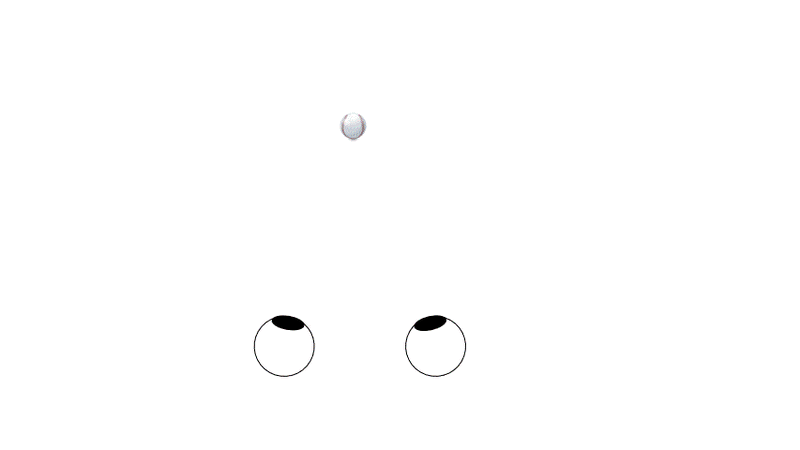 ファイル:Saito eye movement Fig2-5.gif