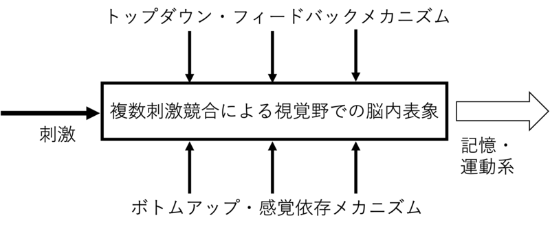 ファイル:横澤 注意のモデル Fig2.png