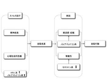 世界的な流行になるリスクがある10の病気