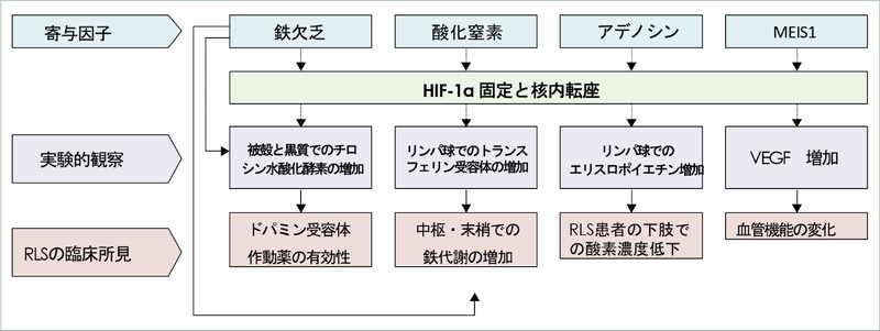 ファイル:Inoue むずむず脚症候群 Figure1.png